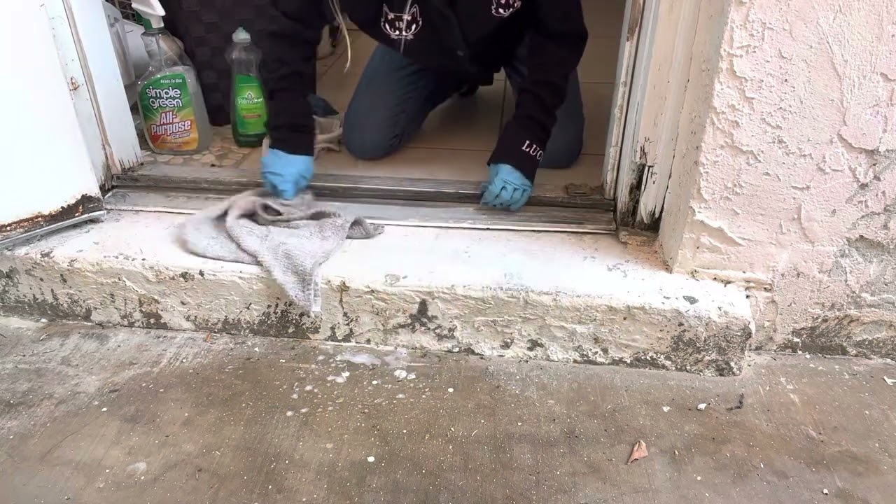 ASMR! Cleaning Vlog!🧽🧼🦠Deep Scrubbing The Back Step! 🤮