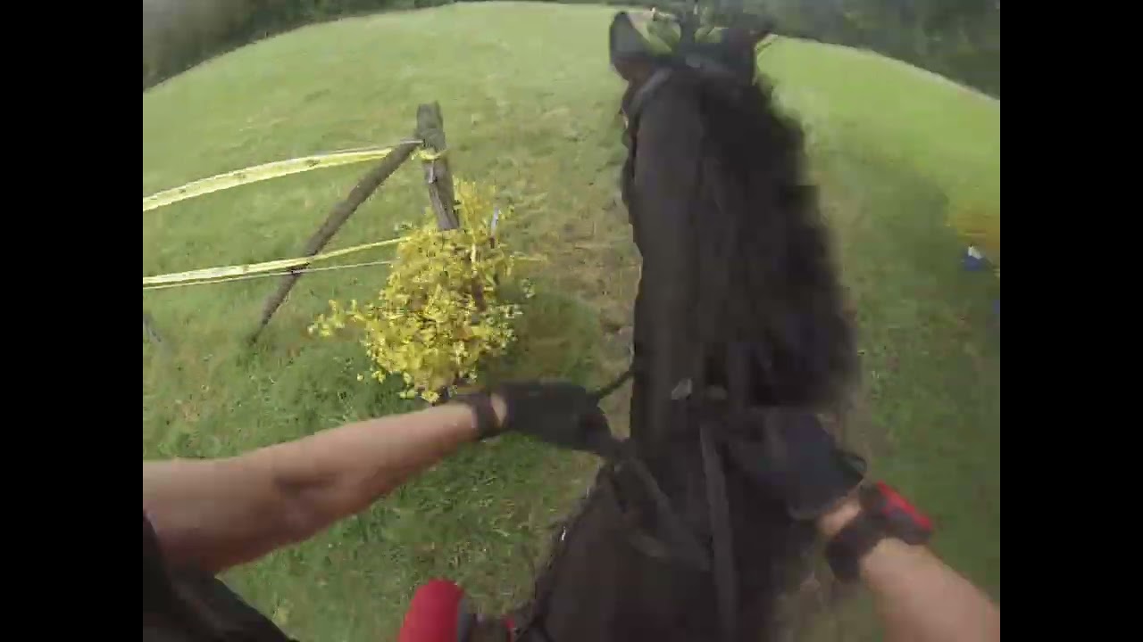 XC style Bulach 2025 #ottb #crosscountry #eventing