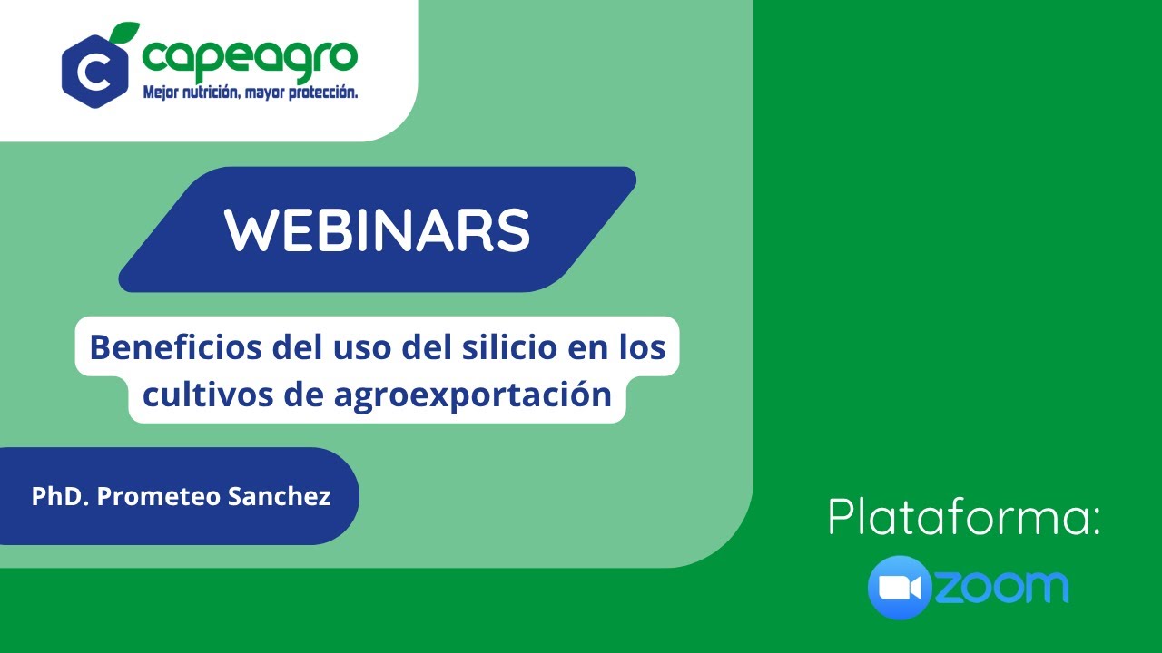 Beneficios del uso del silicio en los cultivos de agroexportación
