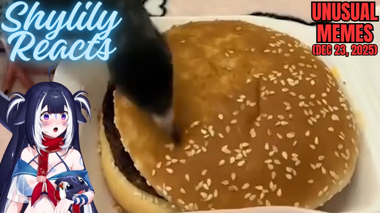 Shylily Reacts to Unusual Memes v344 (Dec 23, 2025)
