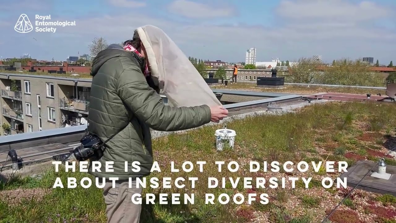 The development of insect diversity and ecosystem complexity on green roofs - Journal Highlights