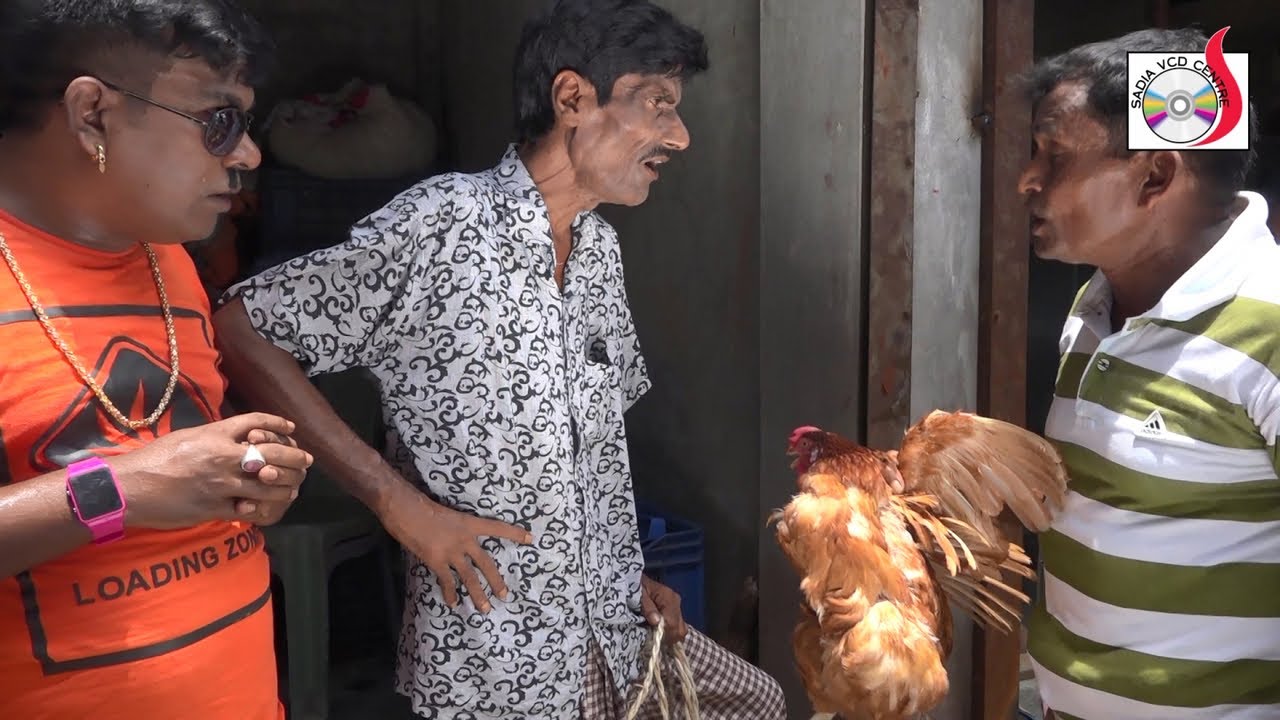 ঈদ আকর্ষণ রবি চেংগুর কিপটার কোরবানী |Robi Cengur  Kiptar Korbani |  Eid Special 2019 | Sadia