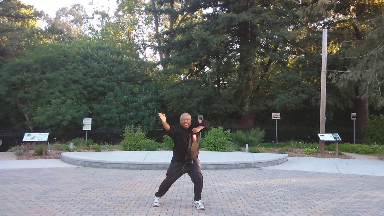 4 Elements Martial Arts: Chuan Fa Chinese Boxing