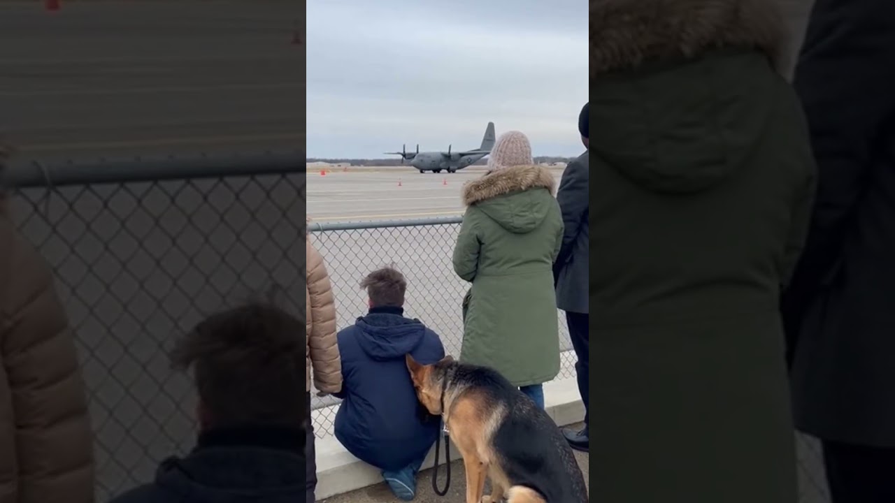 The Dog Kept Waiting&hellip; Not Knowing The Truth 🐶💔 #usa #military #airforce #usarmy #army