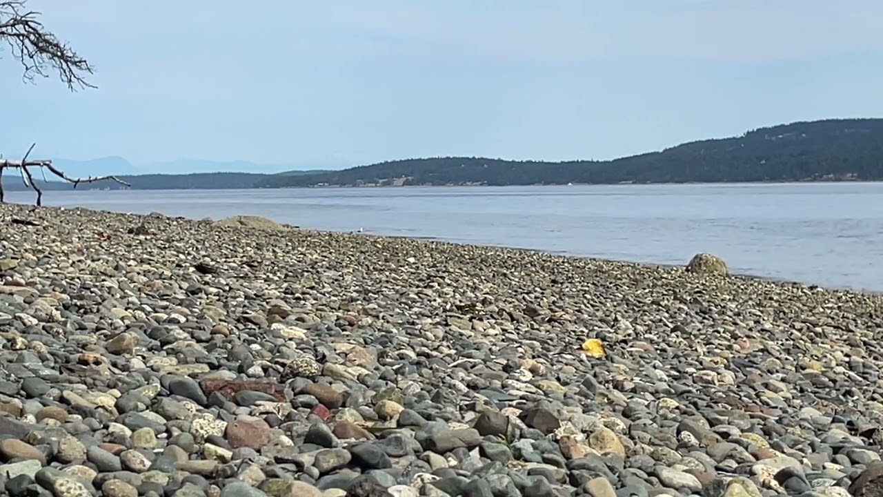 Slow TV: Down By The Ocean