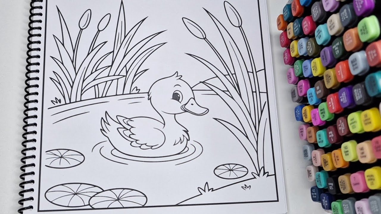 ASMR Cute Duck Pond Coloring | Cozy Calm Relaxing Marker Coloring 🦆🎨