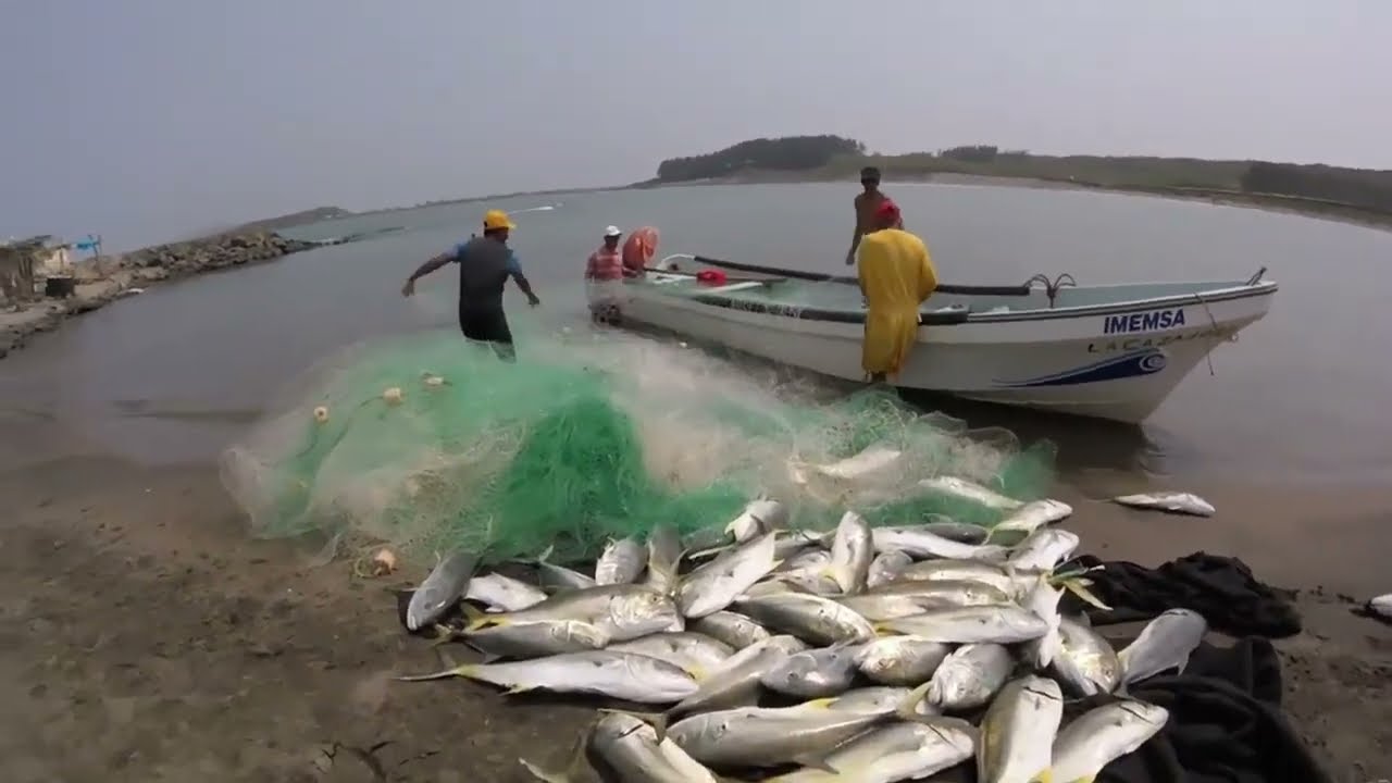 jureles