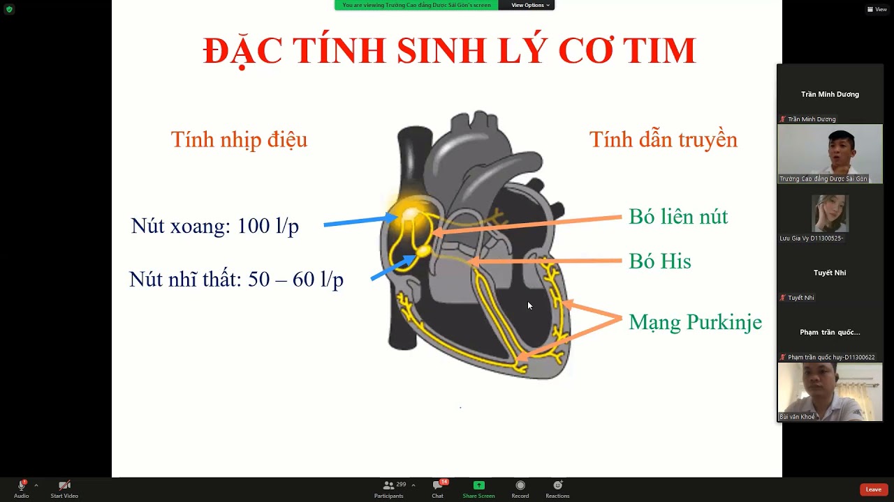 Sinh lý tim - Sinh lý mạch máu. 45p. Môn giải phẫu sinh lý. Trần Khánh Phú