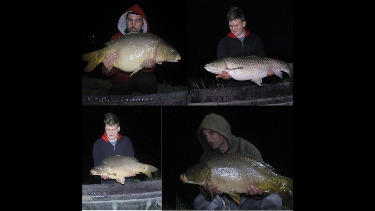 Žabalj, Jegrička II