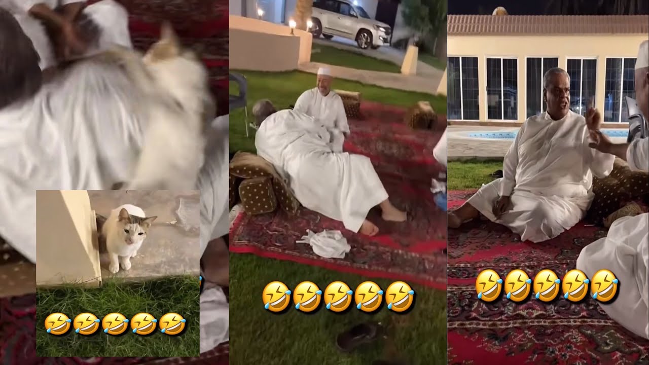 حسين يخوف بوحسين بالقط🤣|بوحسين انخرع😂|لحم مندي😍علي الشهابي|حسين البقشي