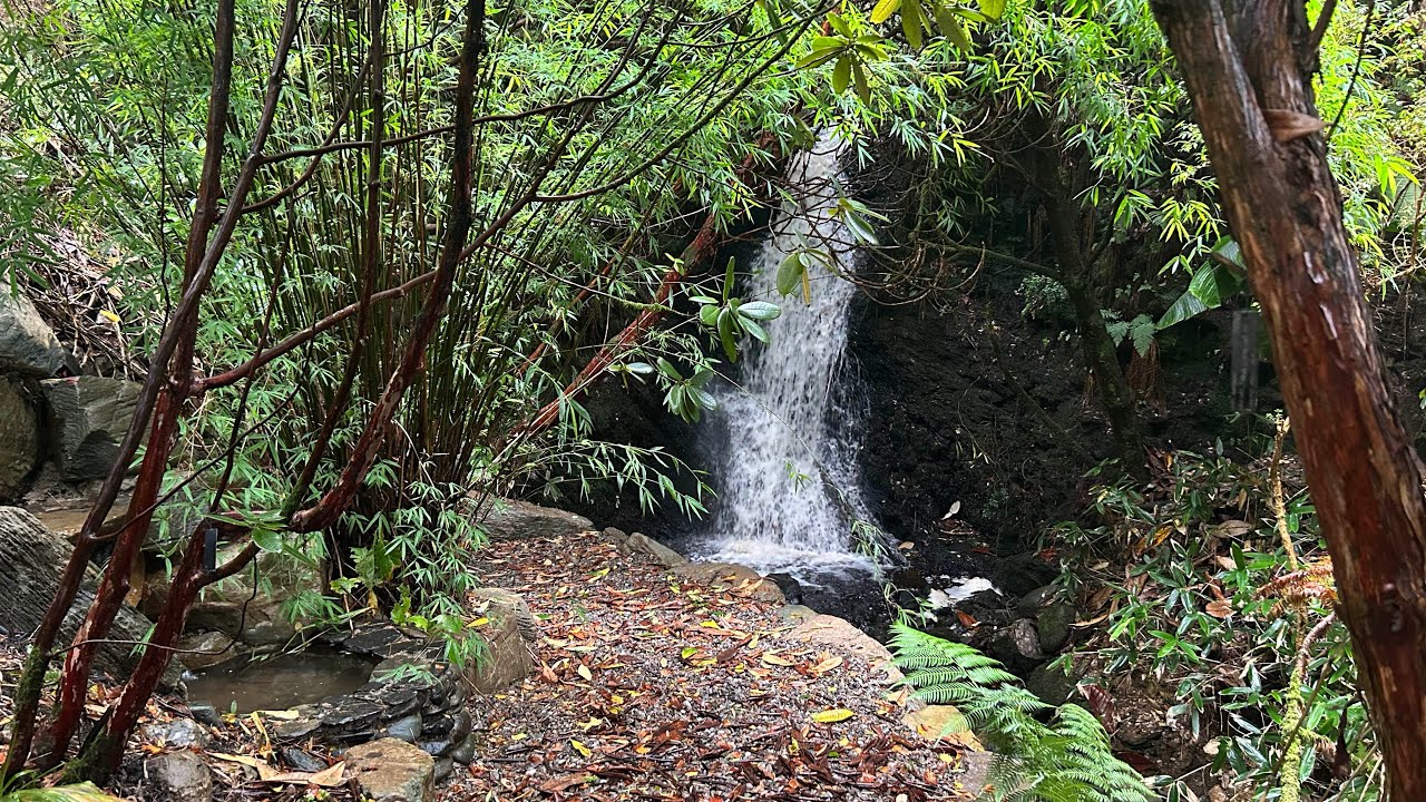 The Waterfall