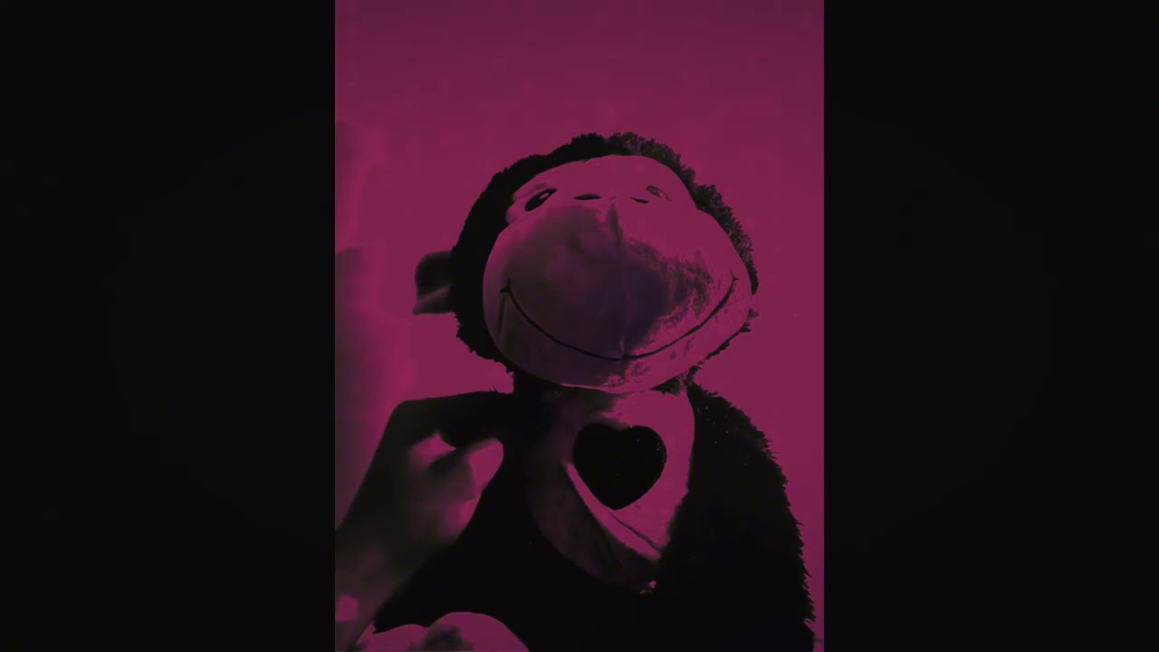 Slowed 26 freestyle 