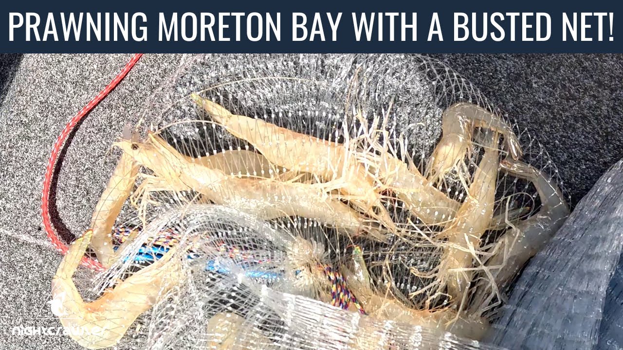 Prawning Moreton Bay with a Busted Net