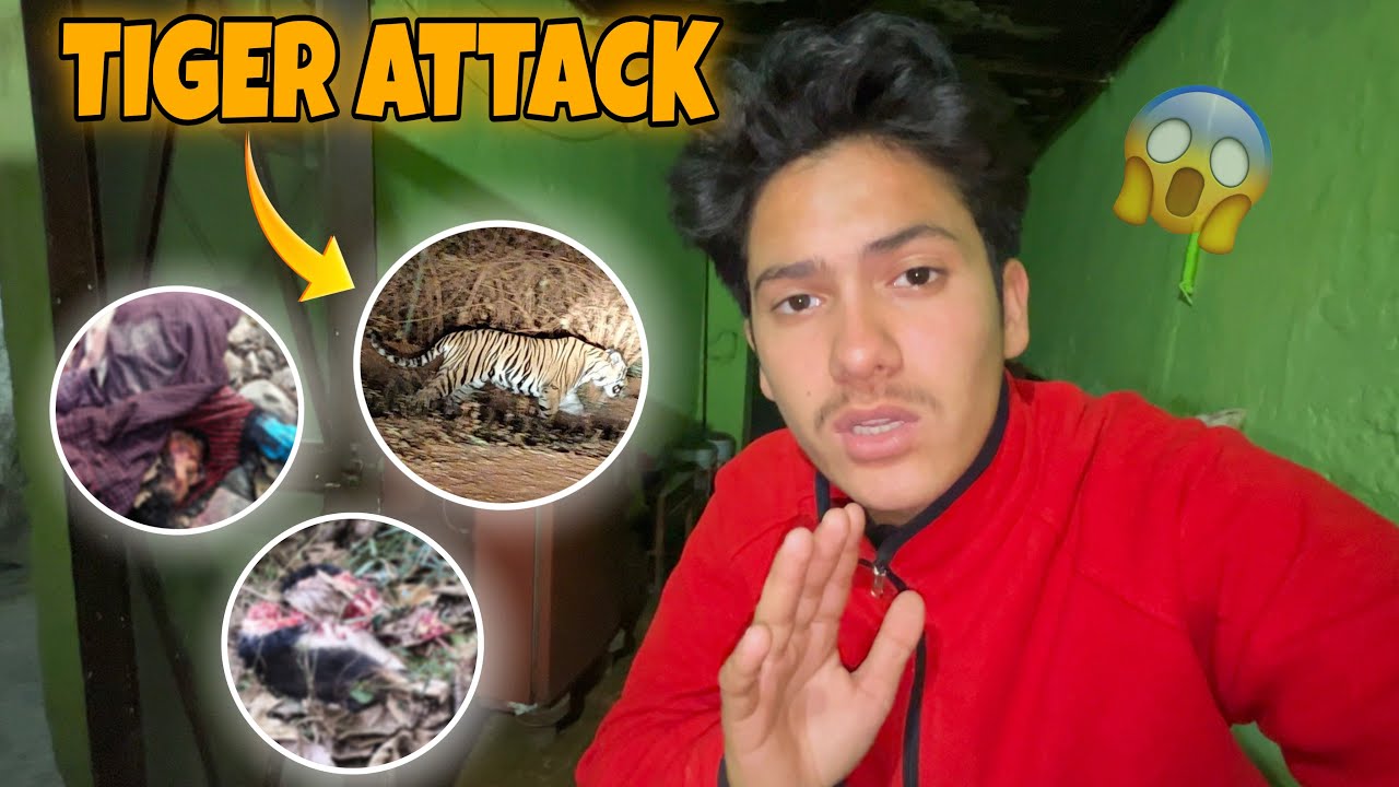 Fir Se Hua Tiger Attack 😱