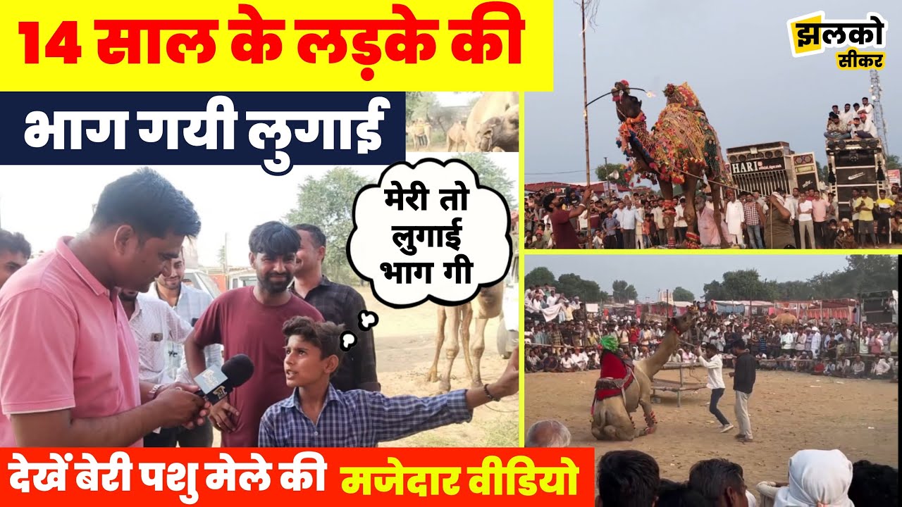 बेरी पशु मेले में पंहुचा 14 साल का गम खाया हुआ पति, देखें मजेदार वीडियो ~ Sikar Beri News