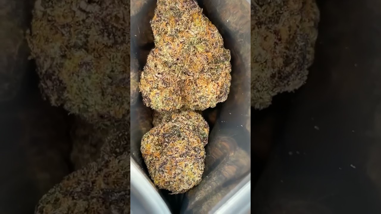 PINK CUP! CANNABIS STRAIN BY CANNATIQUE #pinkcupstrain #pinkcup #cannatique #cannabis #weed #420