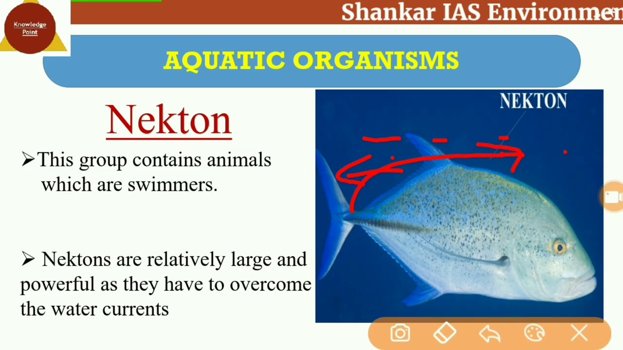 L4, SHANKAR IAS  ENVIRONMENT BOOK Chapter- 4 AQUATIC ECOSYSTEM ll Knowledge Point ll