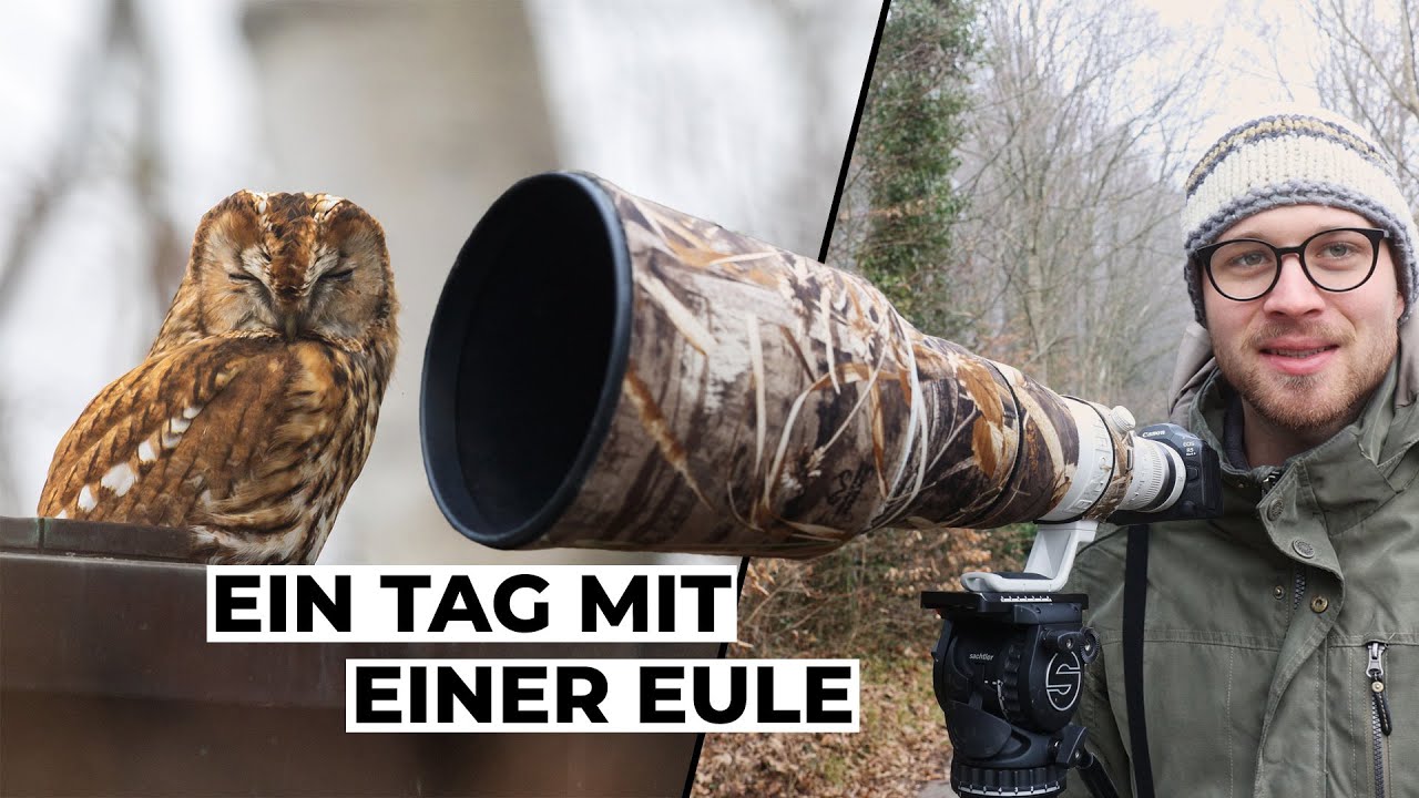 Ich habe einen Tag mit einer Eule verbracht und das ist passiert