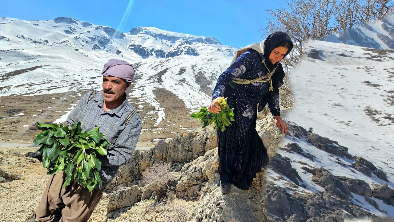 Секрет первого впечатления от заснеженного кочевого региона | Иранский кочевой образ жизни