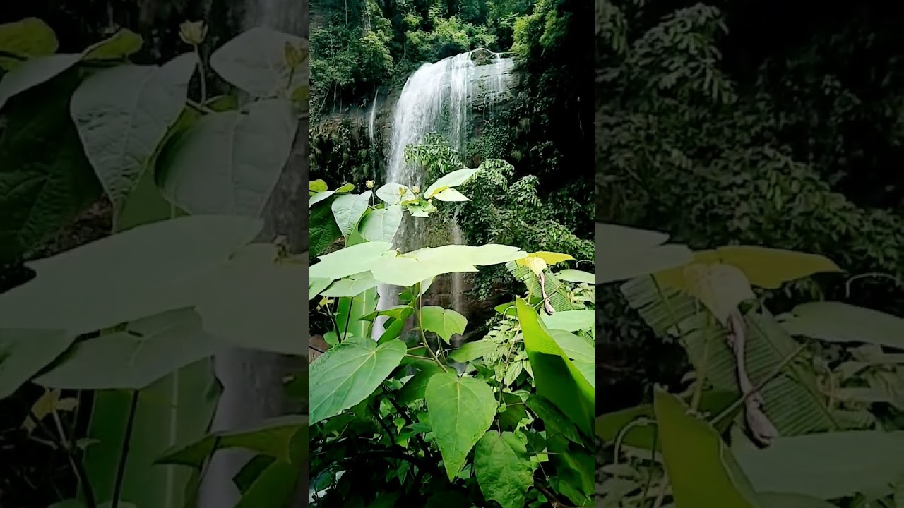 #highlights #viralpost   #vlog #virals #viralshorts #shortsreels #vairalvideo #viral