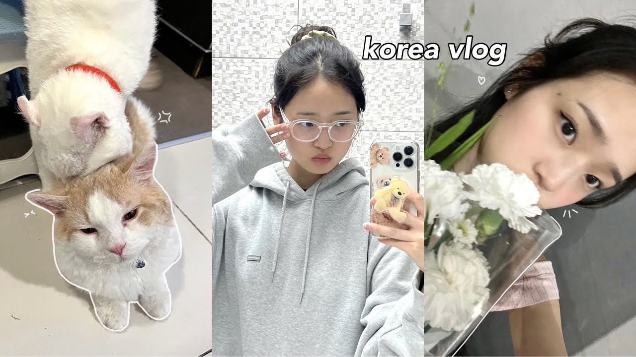 KOREA VLOG🧸: personal colour test, cute clothing haul, what i eat, phone case making & more