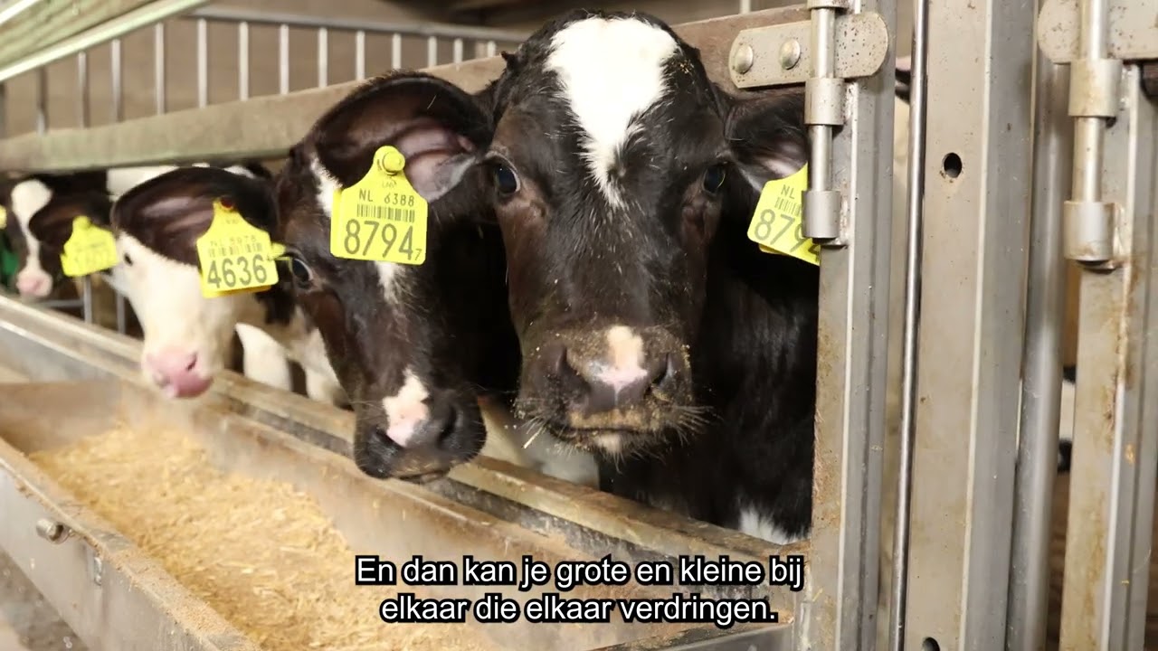 Rol van verzamelcentra