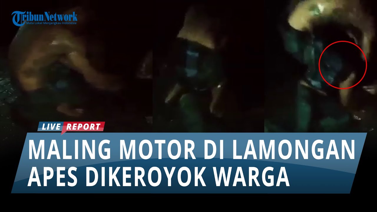 Hendak Beraksi, Maling Motor di Lamongan Malah Kena Karmanya karena Sawah, Berakhir Babak Belur