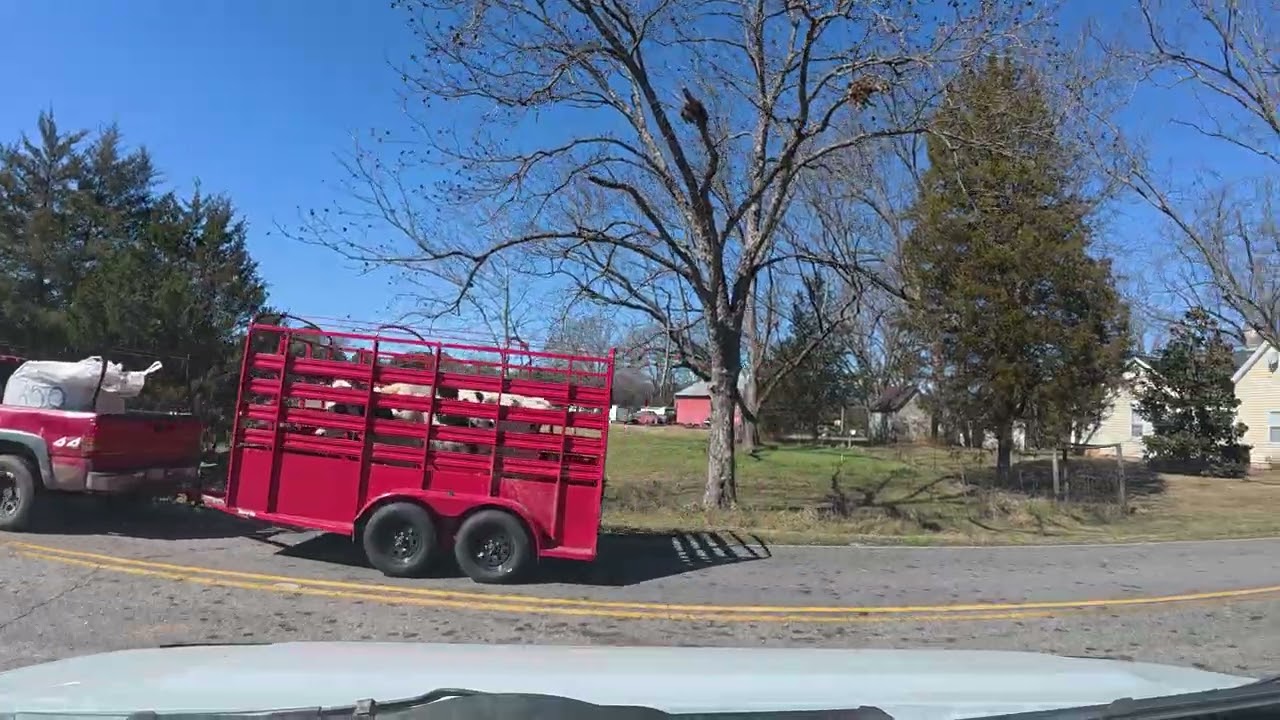 Georgia Scenic BackRoad Driving Tour Walton Barrow Oconee Co Feb 12th 2026 #drivingtour #timecapsule