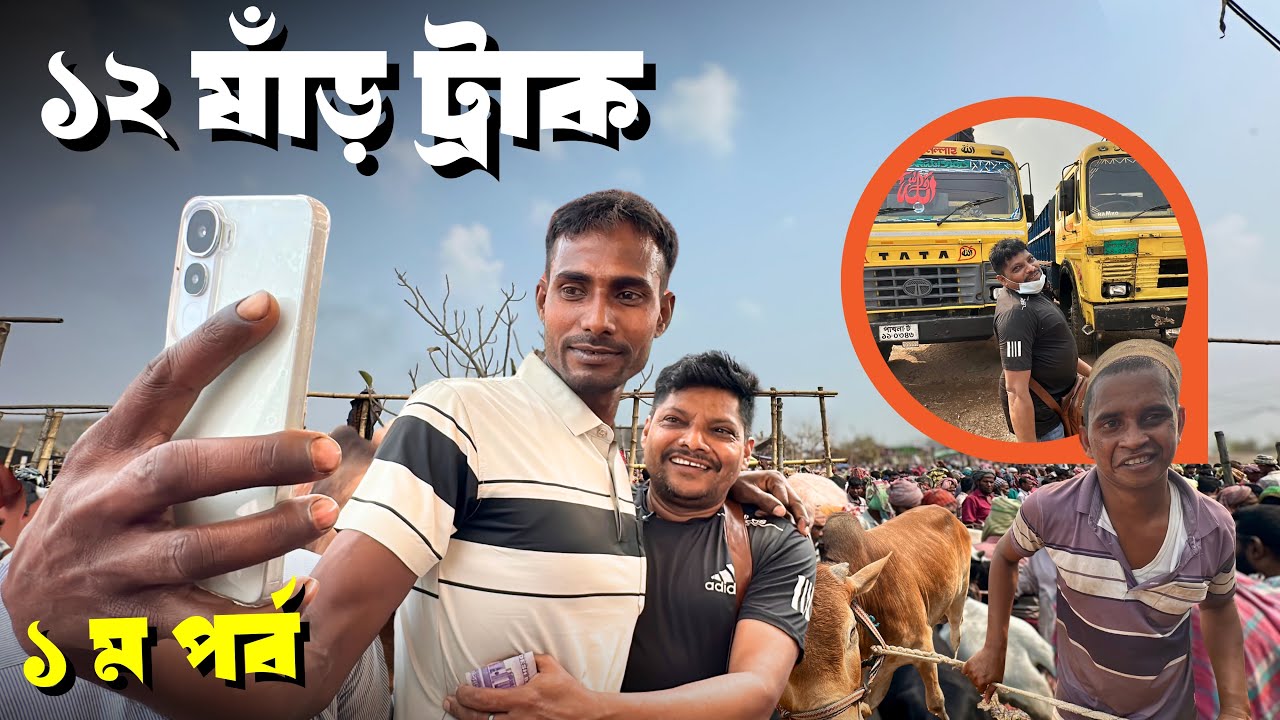 রাজশাহী সিটি হাটে ১২ গরু কিনলেন আকরাম ভাই! আজকের গরু কেনার ১ম পর্ব | Rajshahi Cattle Market Today