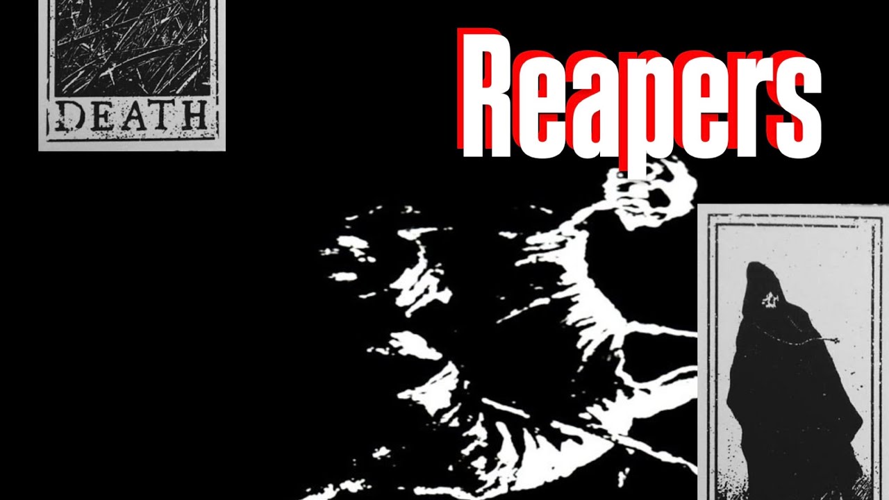 [260122 정기공연] 동덕여대 엑스터시 29기 Muse - Reapers