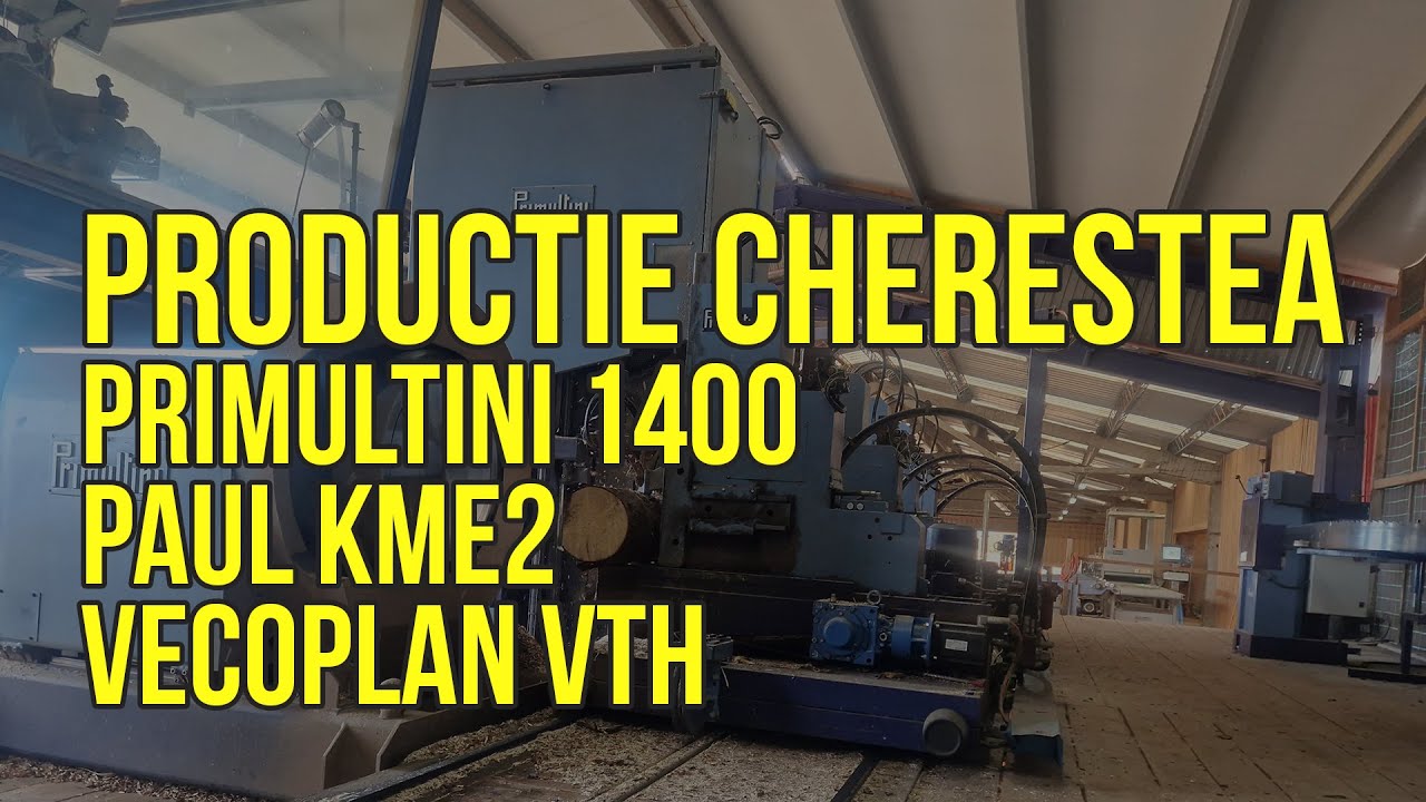 Ce se întâmplă într-o fabrică de cherestea? Primultini + Paul + Vecoplan