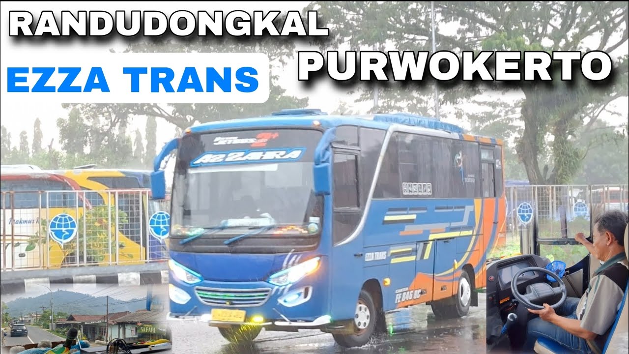 BUS AC SATU SATUNYA DI JALURNYA ⁉️ TRIP REPORT EZZA  TRANS RANDUDONGKAL - PURWOKERTO 