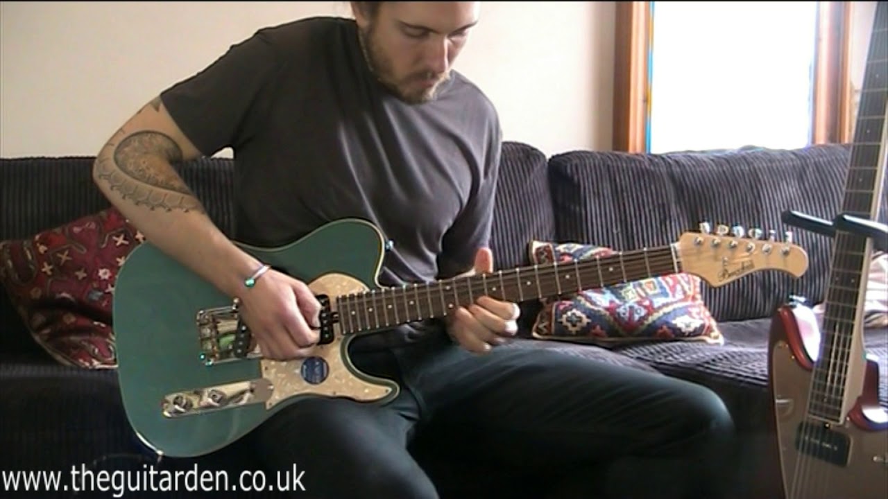 Bacchus T Hollow Demo Thinline Tele Telecaster Handmade Japan