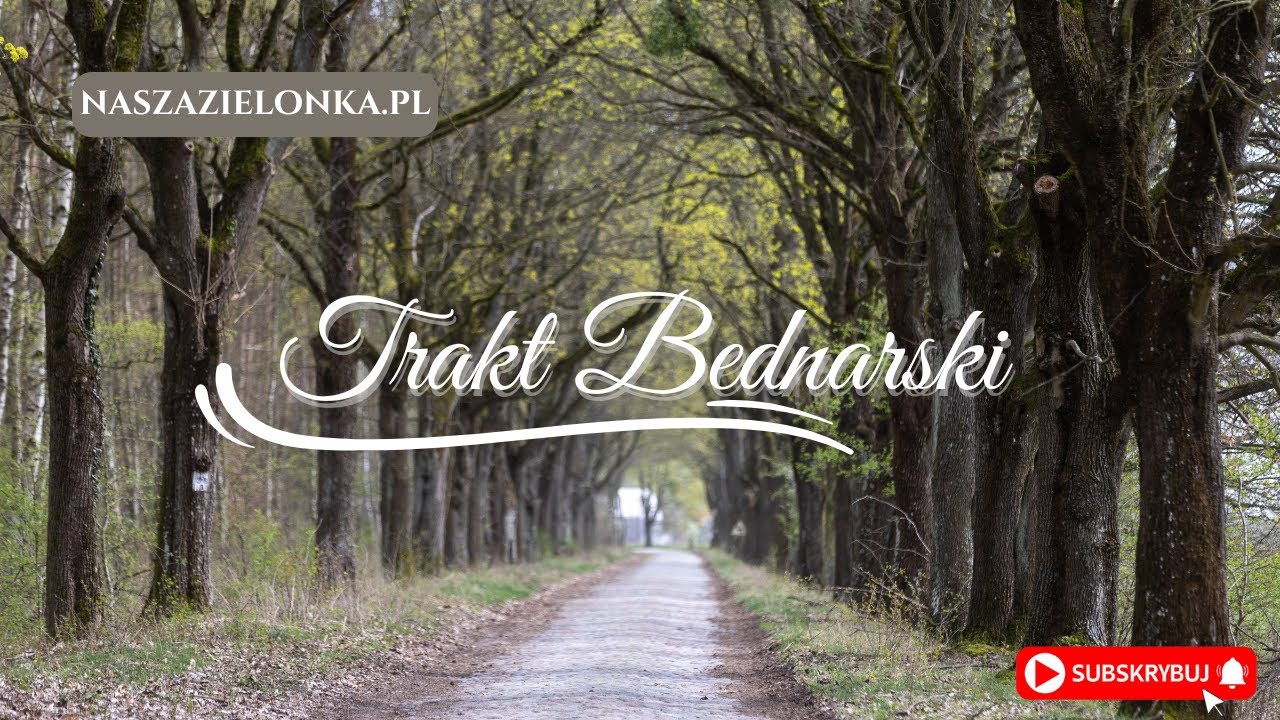 Puszcza Zielonka. Trakt Bednarski. Nasza Zielonka