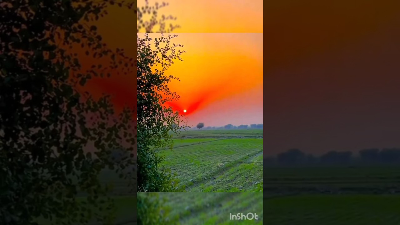 Village related Vedio 