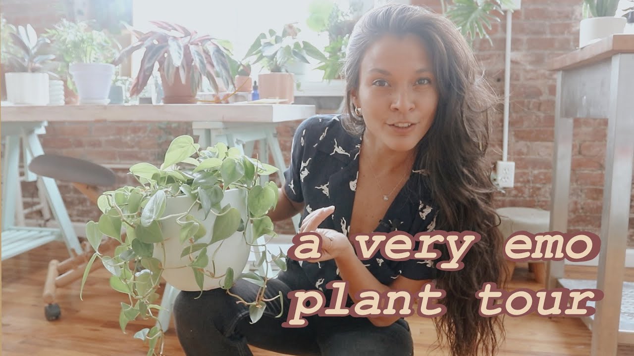 Giving AWAY my +150 Plants Tour