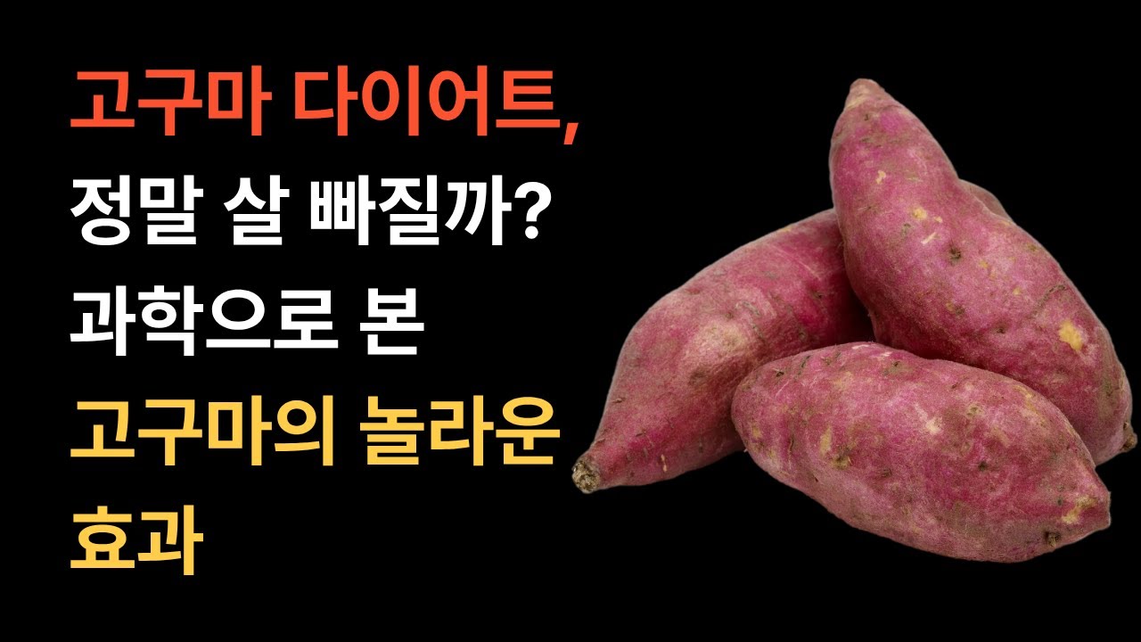 고구마 다이어트, 정말 살 빠질까? | 과학으로 본 고구마의 놀라운 효과