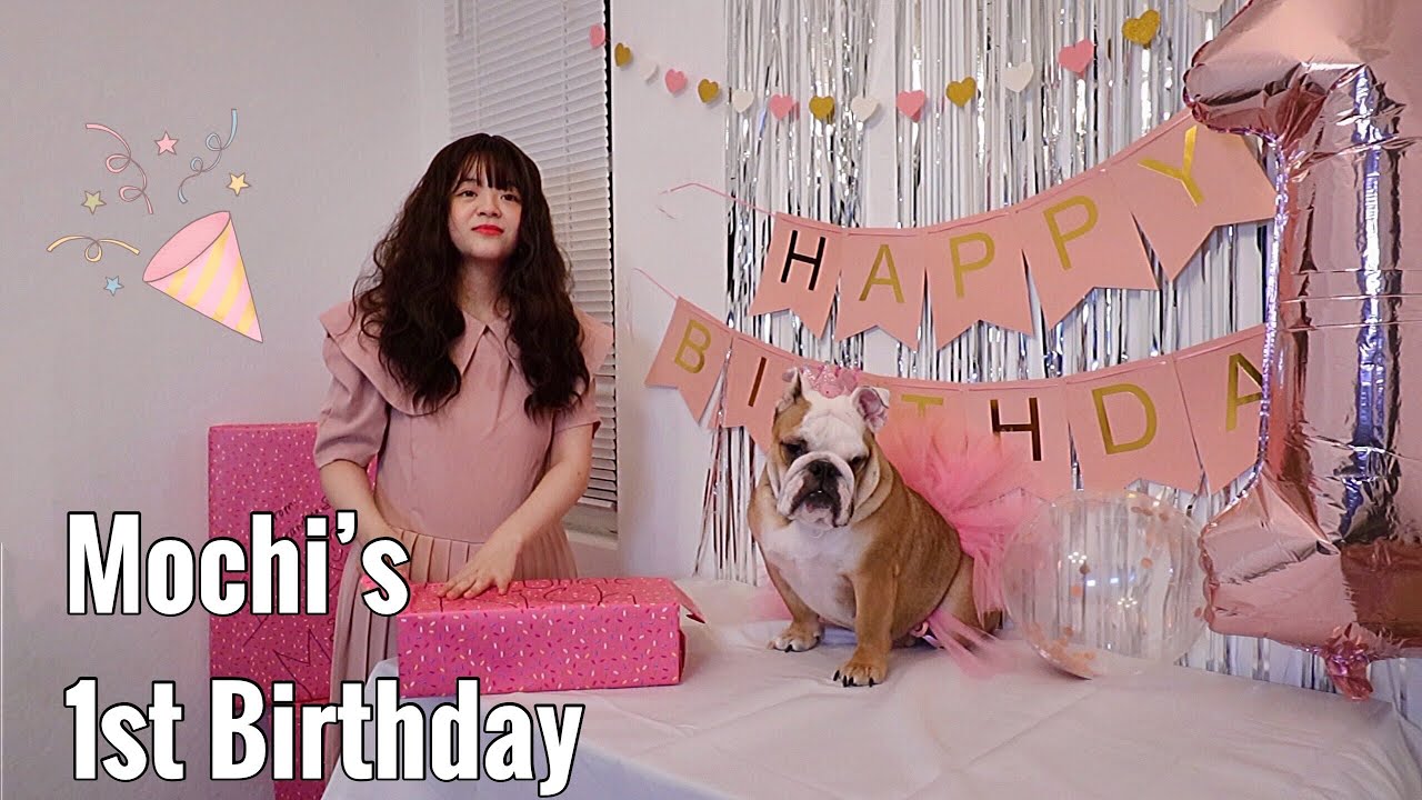Mochi's first birthday vlog + where is Boba? (first time throwing a birthday)