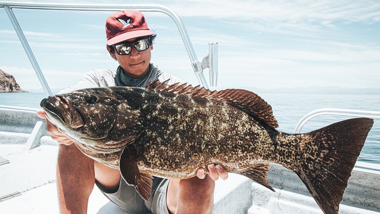 INSANE Yellowtail and Cabrilla Fishing in Baja