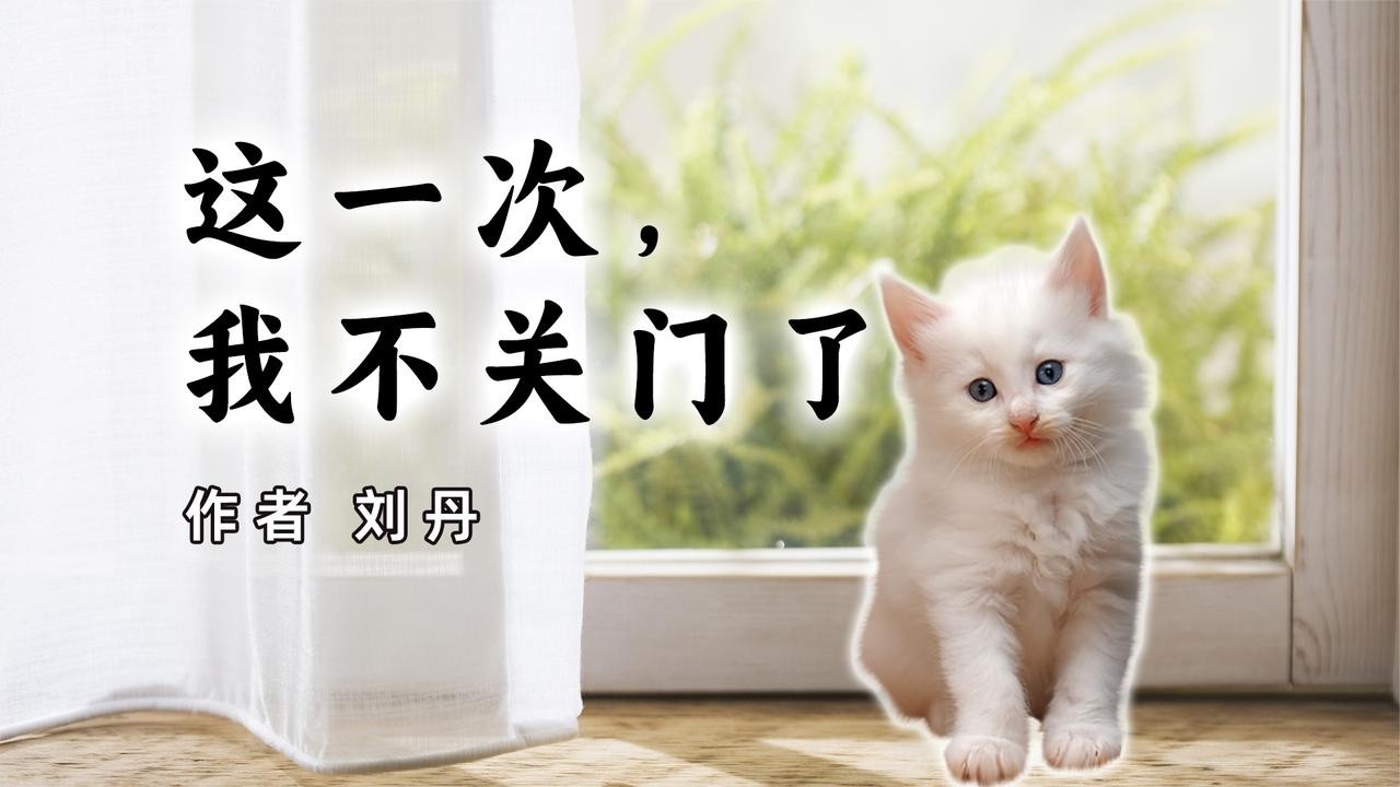 《这一次，我不关门了》作者 刘丹