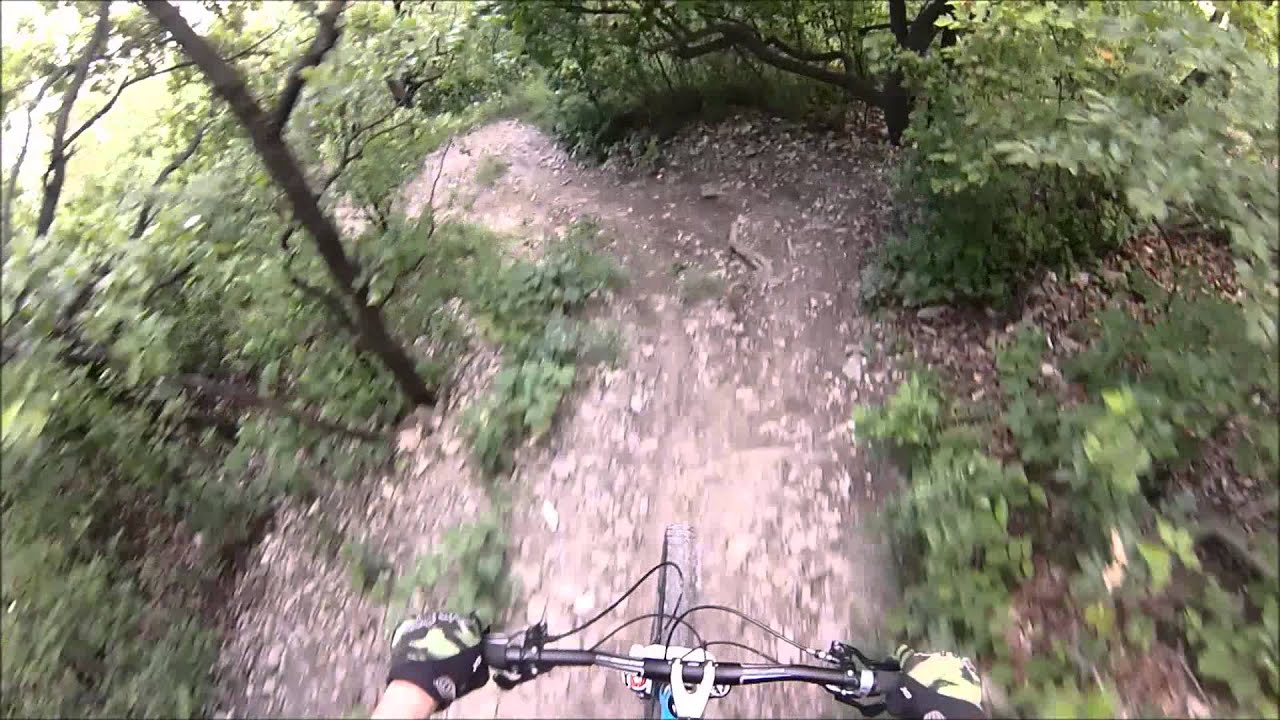 Nasenweg Kahlenberg check