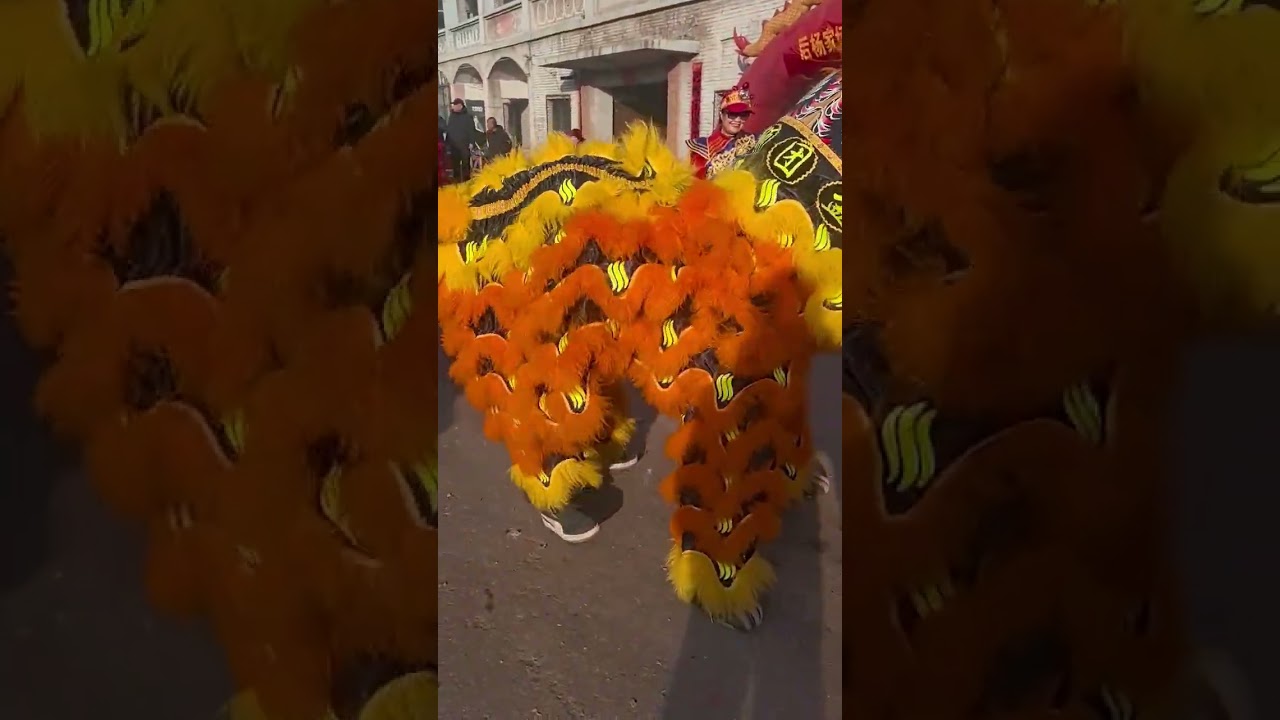 实拍潮汕舞狮震撼现场｜Live: Amazing Chaoshan Lion Dance #trendingvideo #非物质文化遗产 #非遗文化传承 #liondance #民族風#潮汕舞狮#舞狮