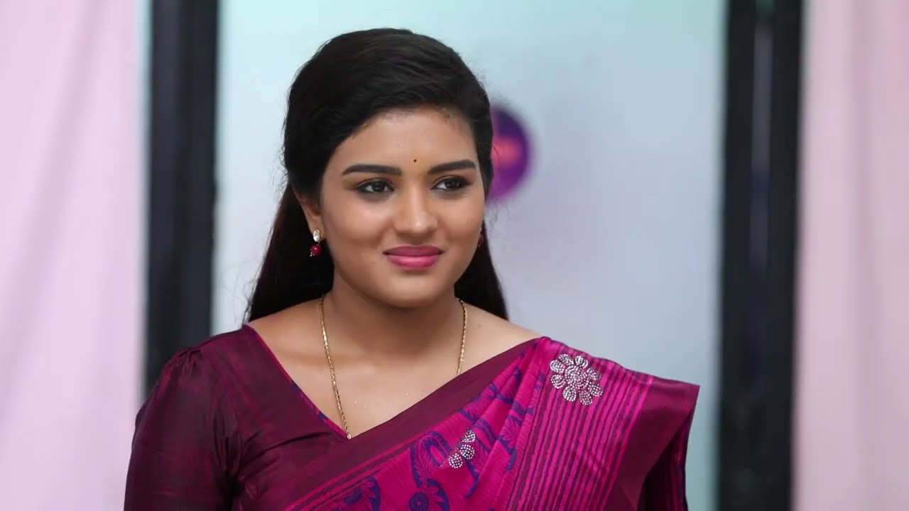 Nandini's plans fail - Sembaruthi - Full Ep 676 - Zee Tamil