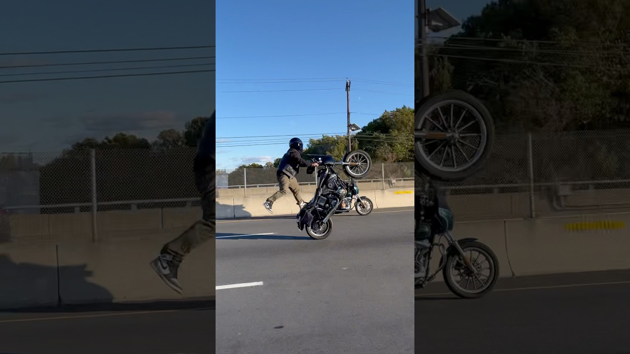 Crazy Harley Wheelie Skills #harleydavidson #harleywheelies
