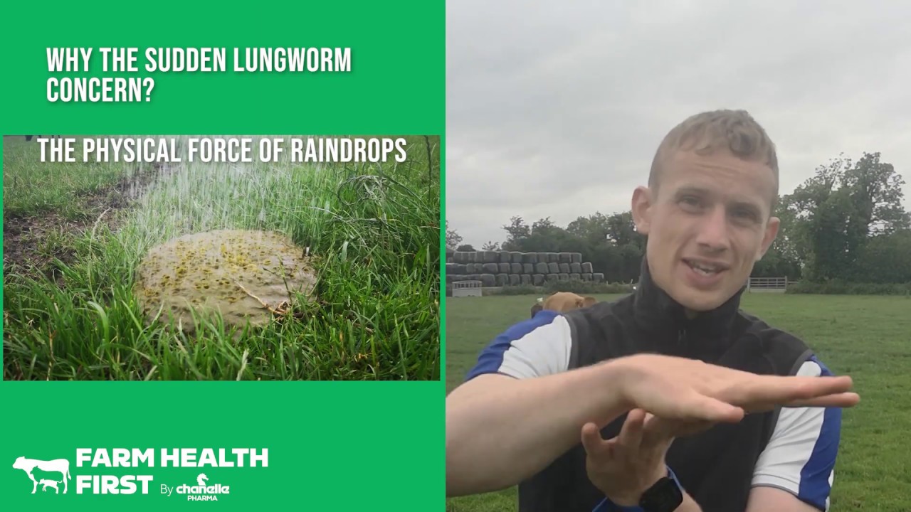 Why the Sudden Concern About Lungworm?