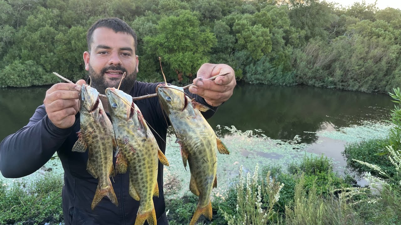 Tarariras, bagres y una tarde de pesca inolvidable 🎣| Parte 1
