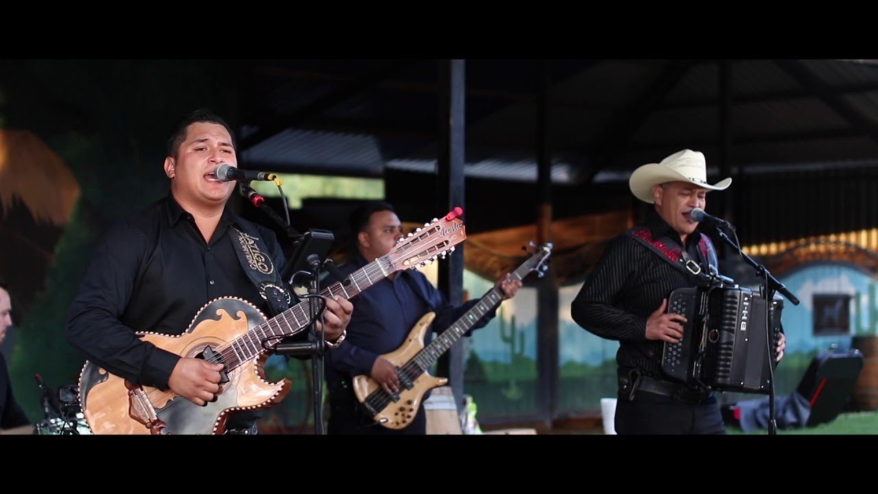 Latigo Norteño 