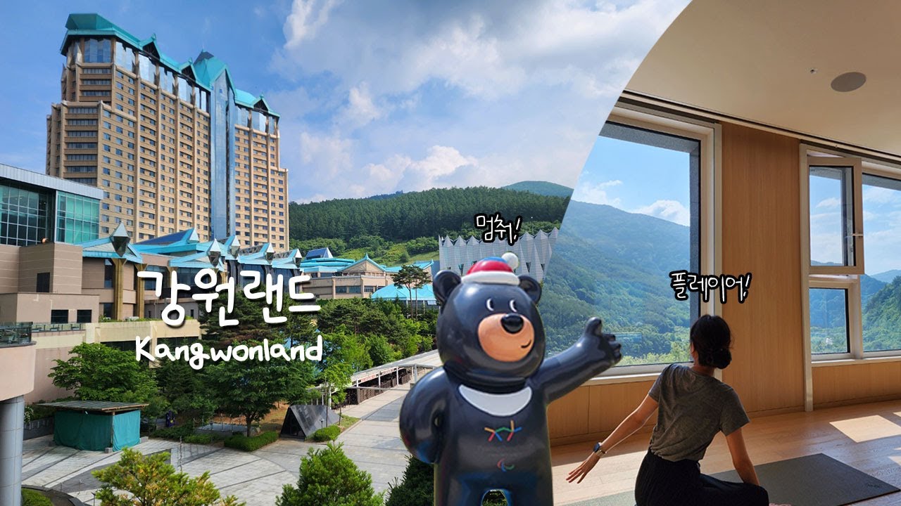 숲에서 강원랜드 카지노까지 🌳 🎰 | 히구네 정선 Ep.2