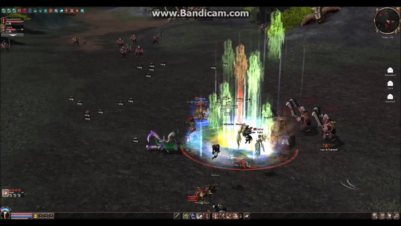 Metin2.ro KingARAGORN testam amuleta pe rosiori