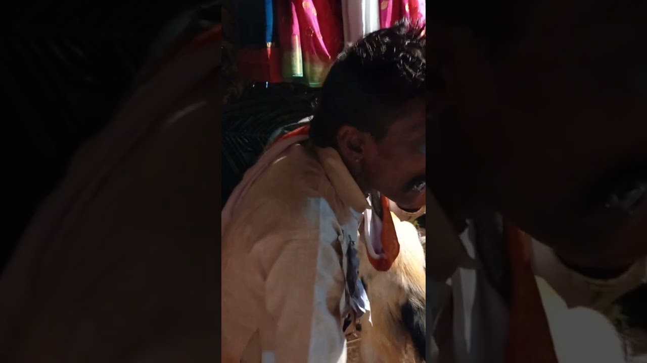 thhanni malleshu guruvu garu